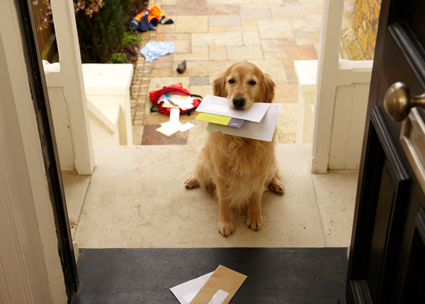 mail_title.png