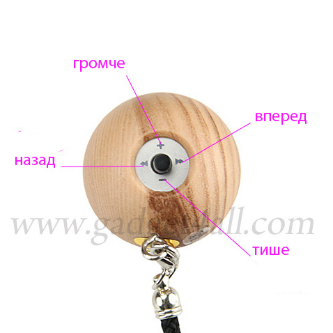 Acorn_03.jpg