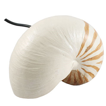 Shell-Hub2.jpg