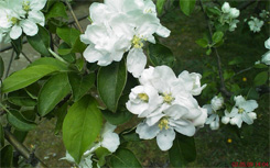 XPERIA_Shot11.jpg