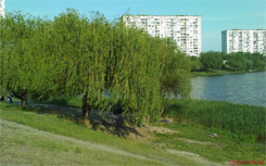 XPERIA_Shot17.jpg