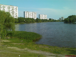 XPERIA_Shot23.jpg