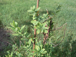 SNC00023.jpg