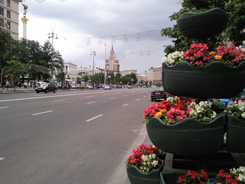 SNC00105.jpg