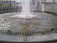 SNC00144.jpg
