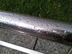 SNC00156.jpg