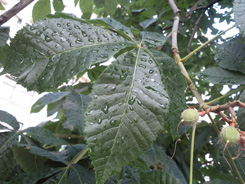 SNC00221.jpg