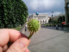 SNC00232.jpg