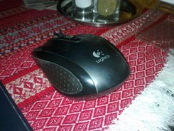 24062009068.jpg