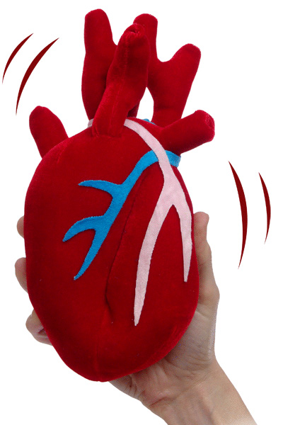 PlushBeatingHeart_1.jpg