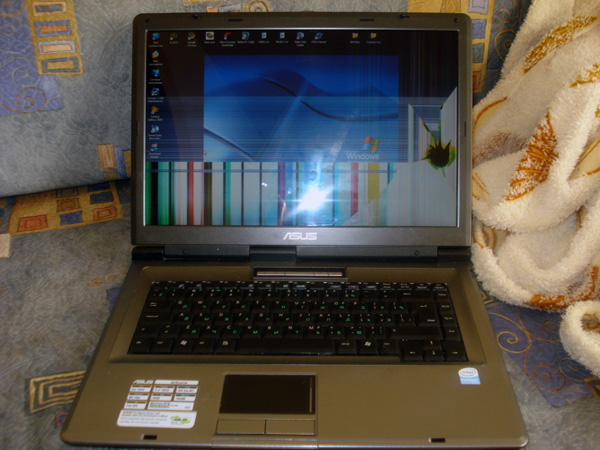 competitor12.jpg