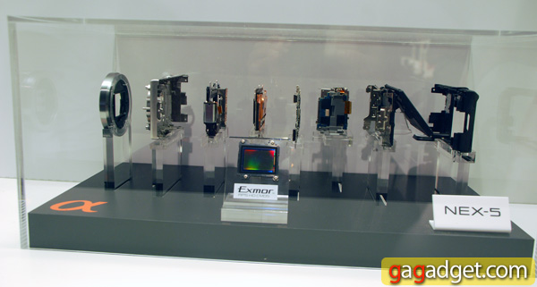 SonyIFA2010_14.jpg