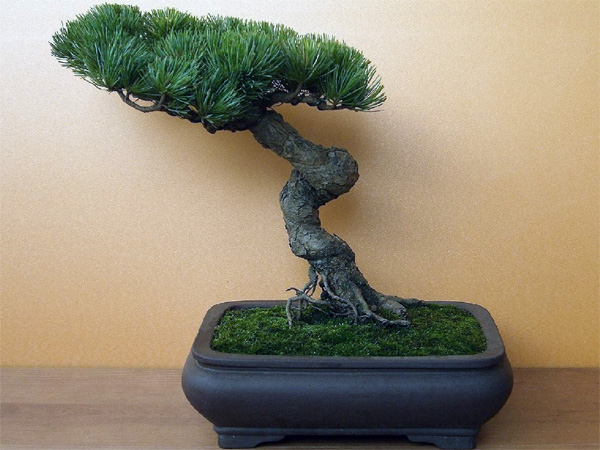 Competitor119_1.jpg