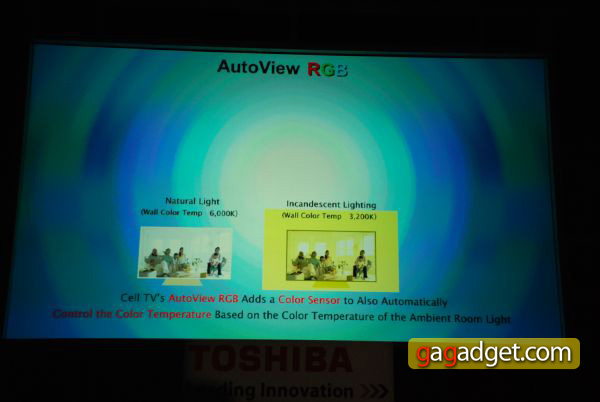 ToshibaCellTV_07.jpg