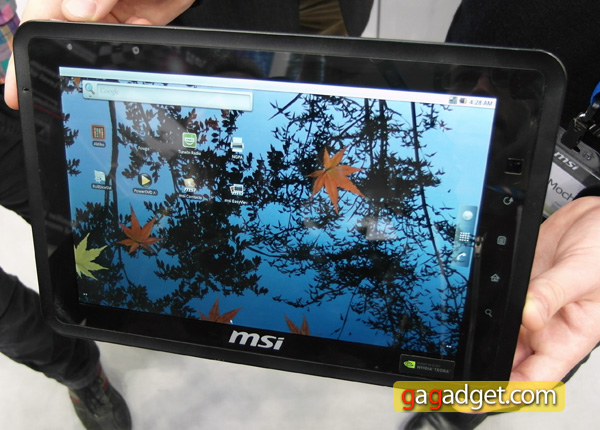MSI_WindPad100A.jpg