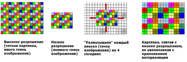 pic1.jpg