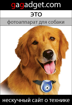 Мы запускаем баннерную рекламу сайта gagadget.com-14 dog_240x350.jpg