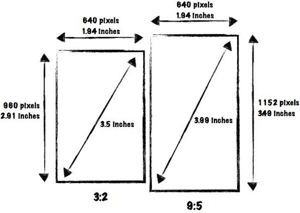 2424.jpg