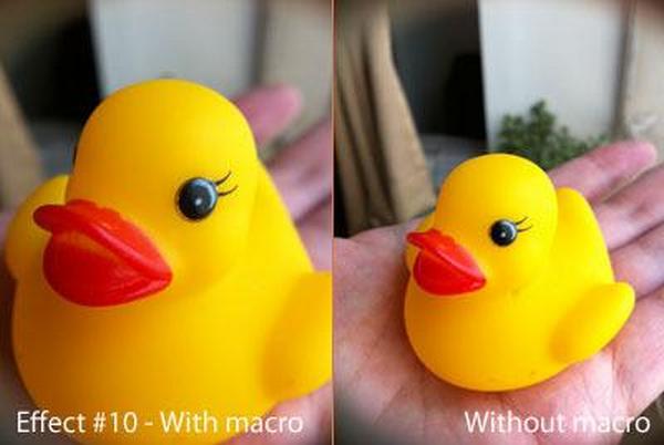 Sample11-Macro_grande.jpg