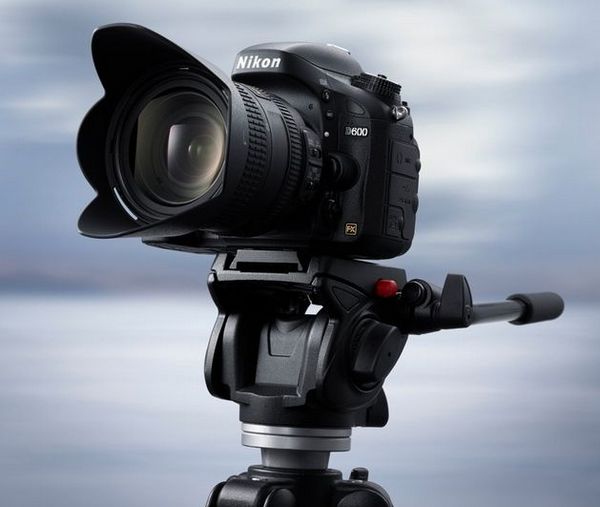 Nikon_D600_1_cr.jpg