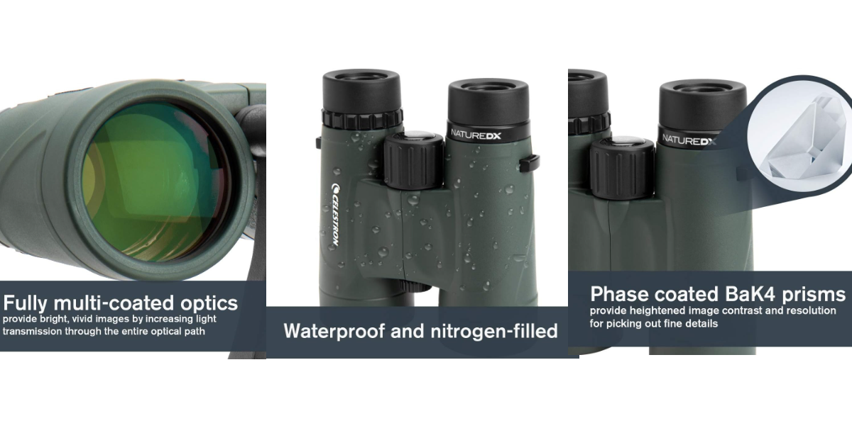 Celestron Nature DX 8x42 meilleures jumelles de voyage pour croisière en alaska