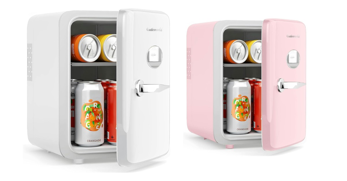 Skincare portable outdoor refrigerator
