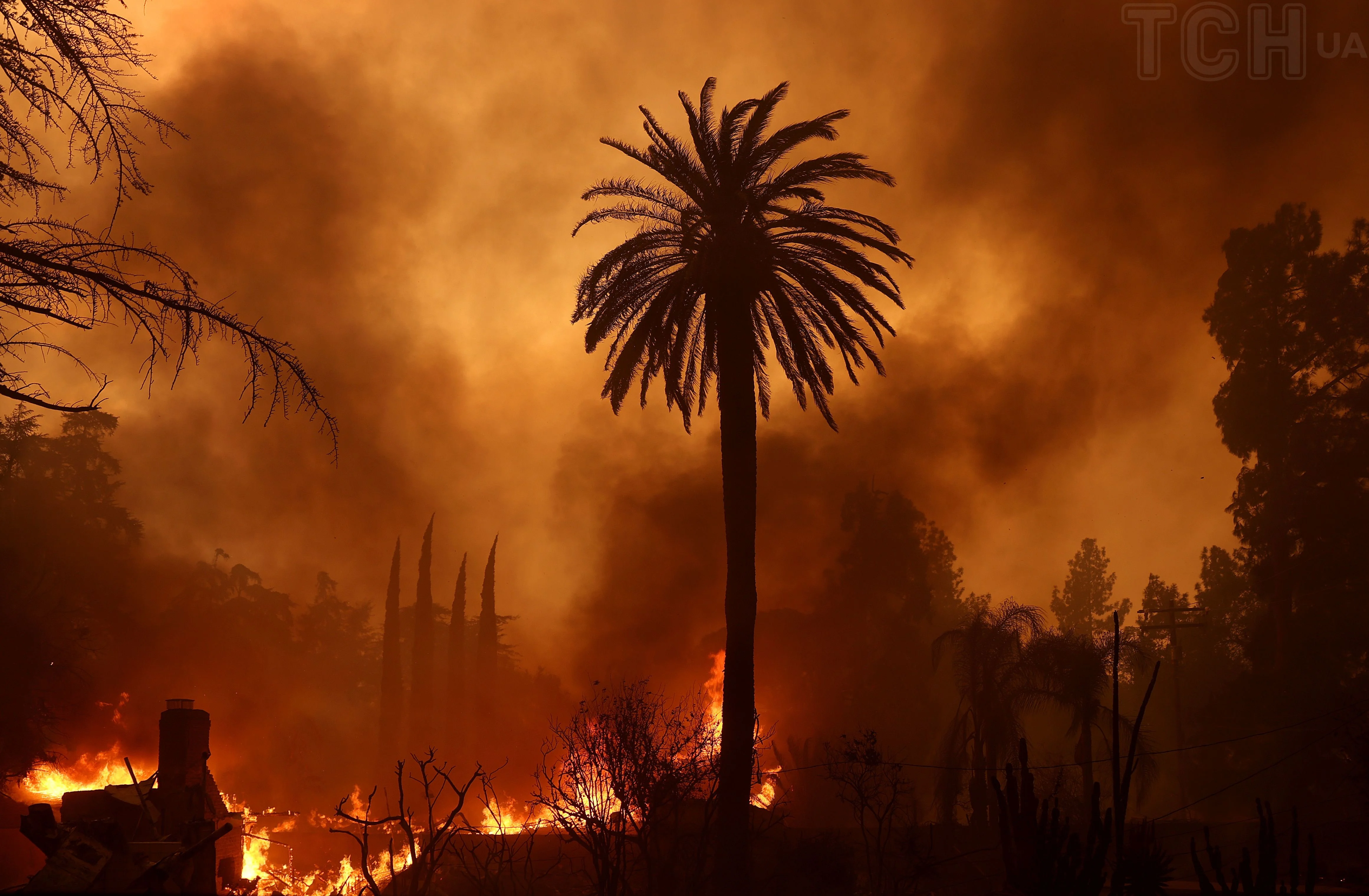 Forest fire in Los Angeles