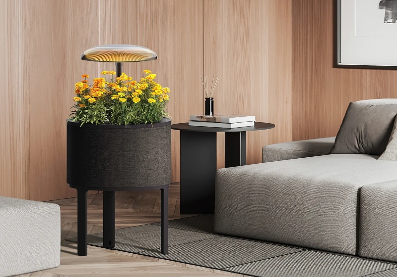 LG's mini-garden
