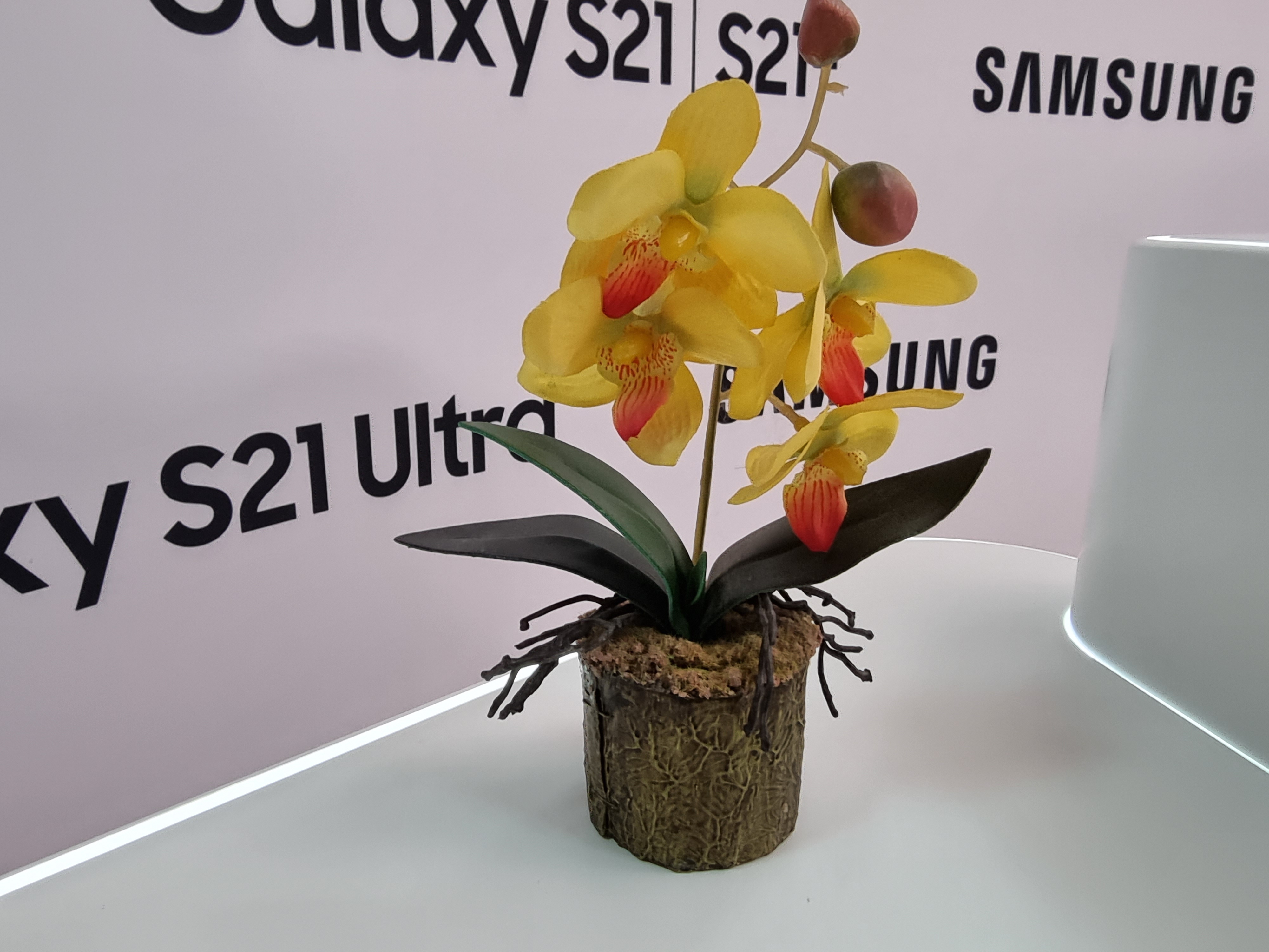 Флагманская линейка Samsung Galaxy S21 и наушники Galaxy Buds Pro своими глазами-41