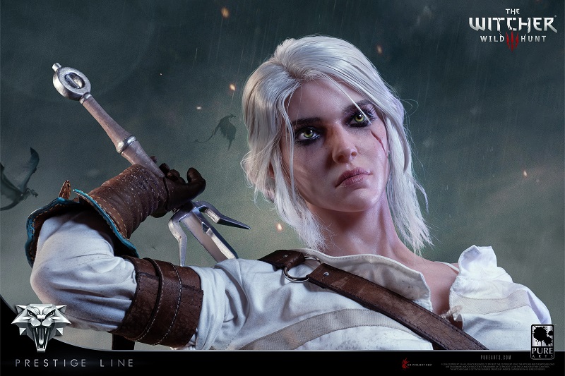 Héraut dans le style de The Witcher