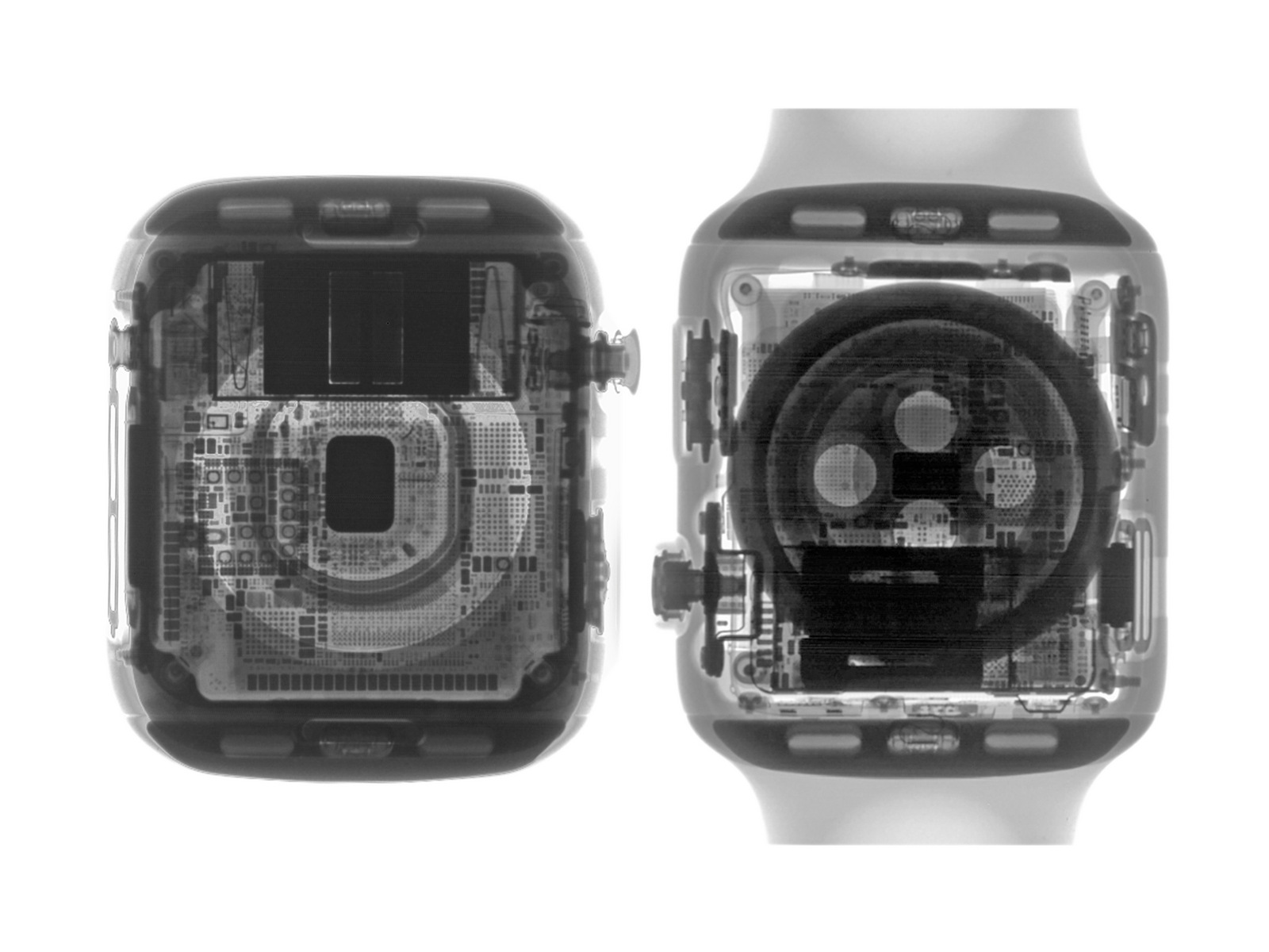 Apple Watch Series 4 iFixit 1.jpg