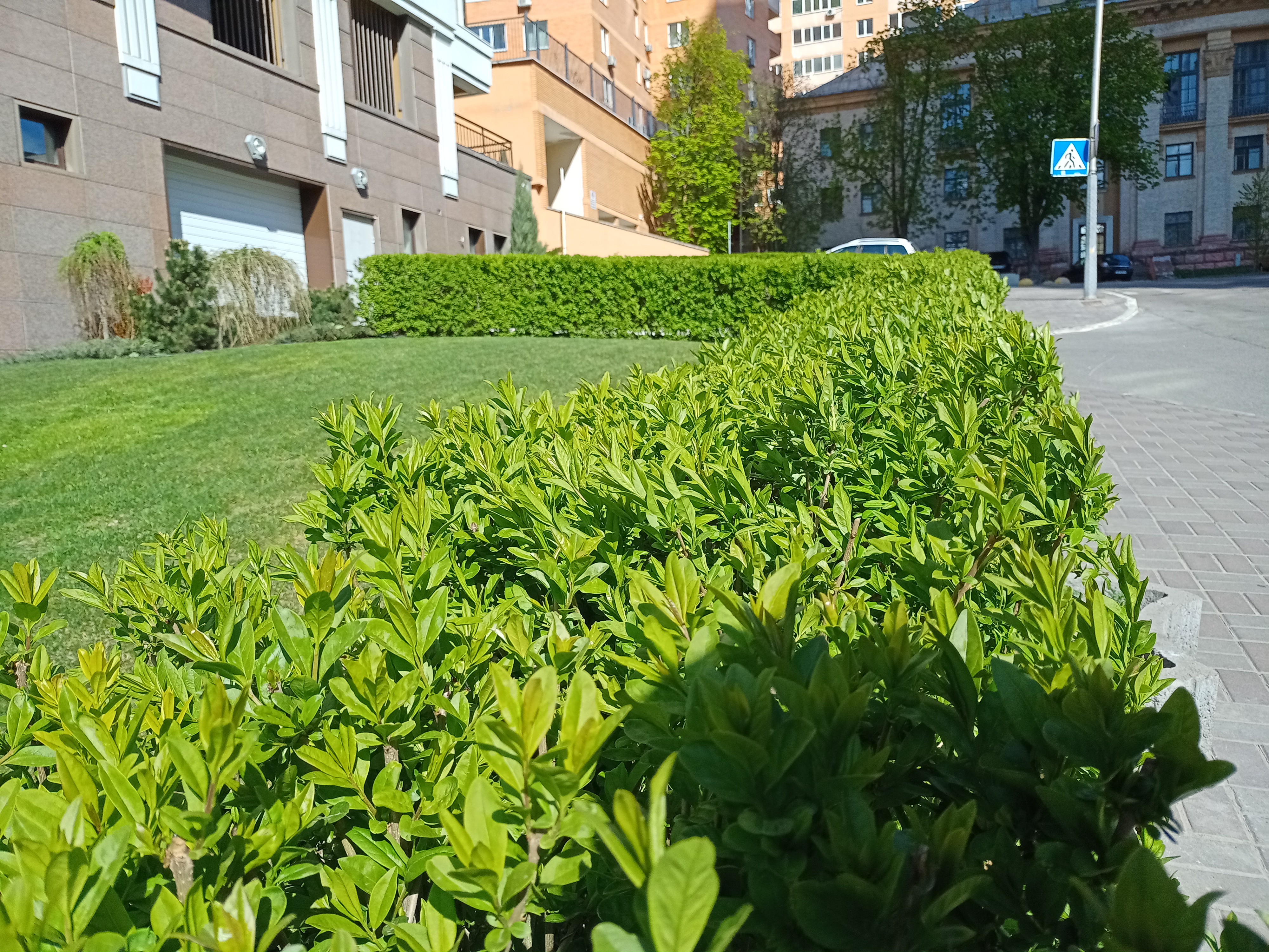 Обзор realme 6i: недорогой смартфон с большой батареей и NFC-286