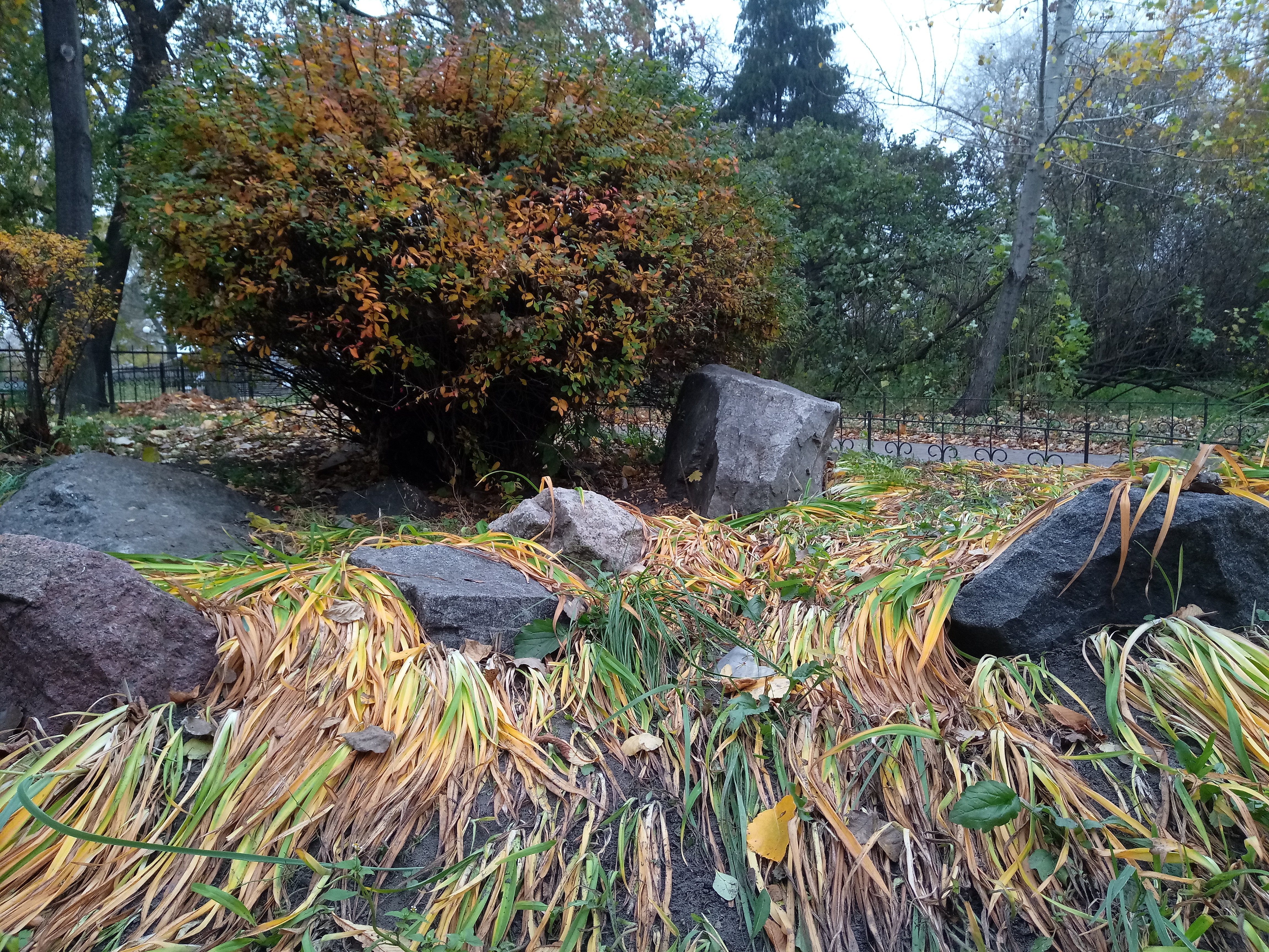 IMG_20181101_094034.jpg