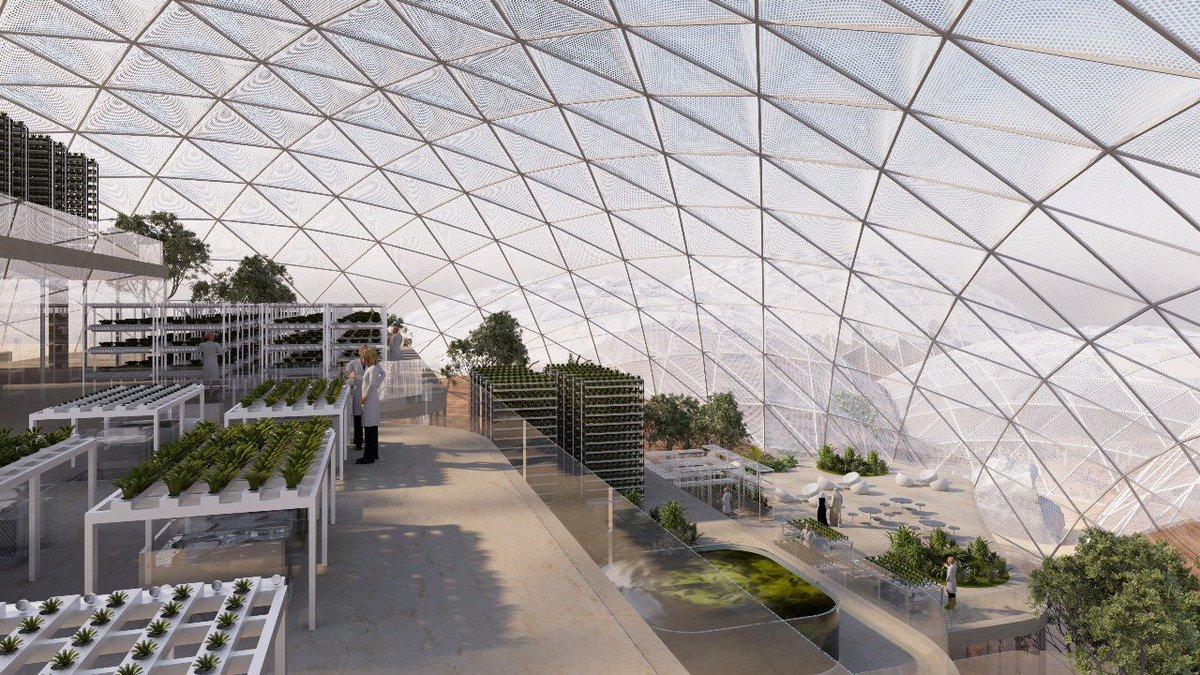 Mars-Scientific-City-2.jpg