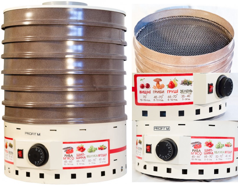 rating of fruit dryers ukraine