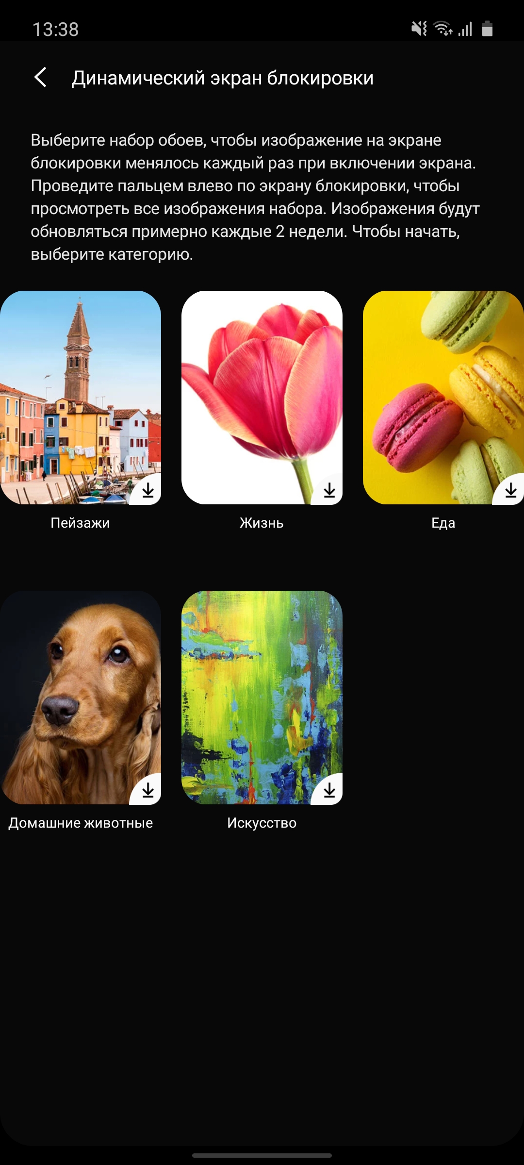Огляд Samsung Galaxy Note10 Lite: для розважливих фанатів лінійки-187
