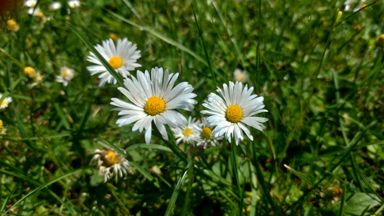 Zenfone_Camera_22.jpg
