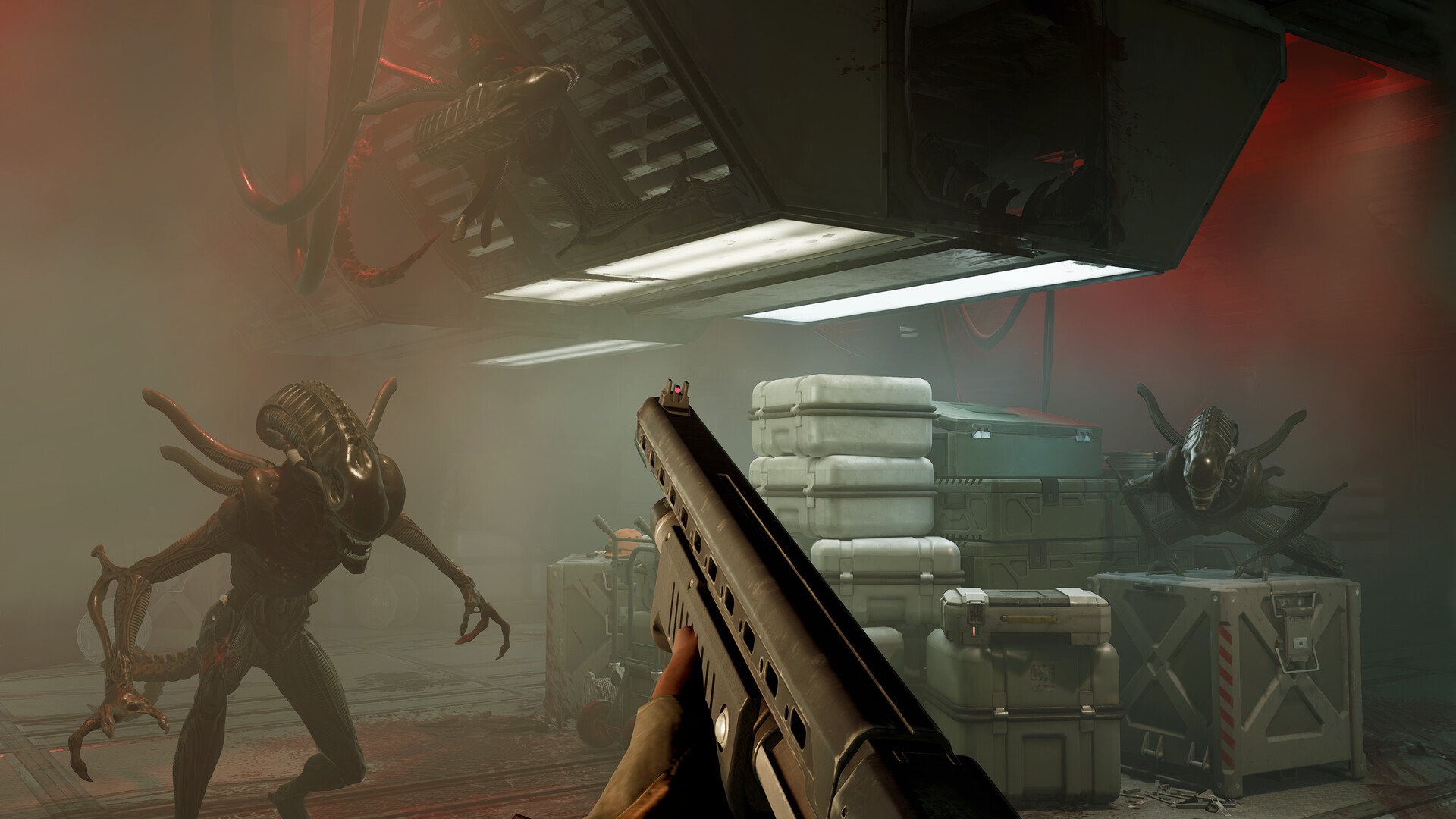 Scène de combat dans Alien : Rogue Incursion