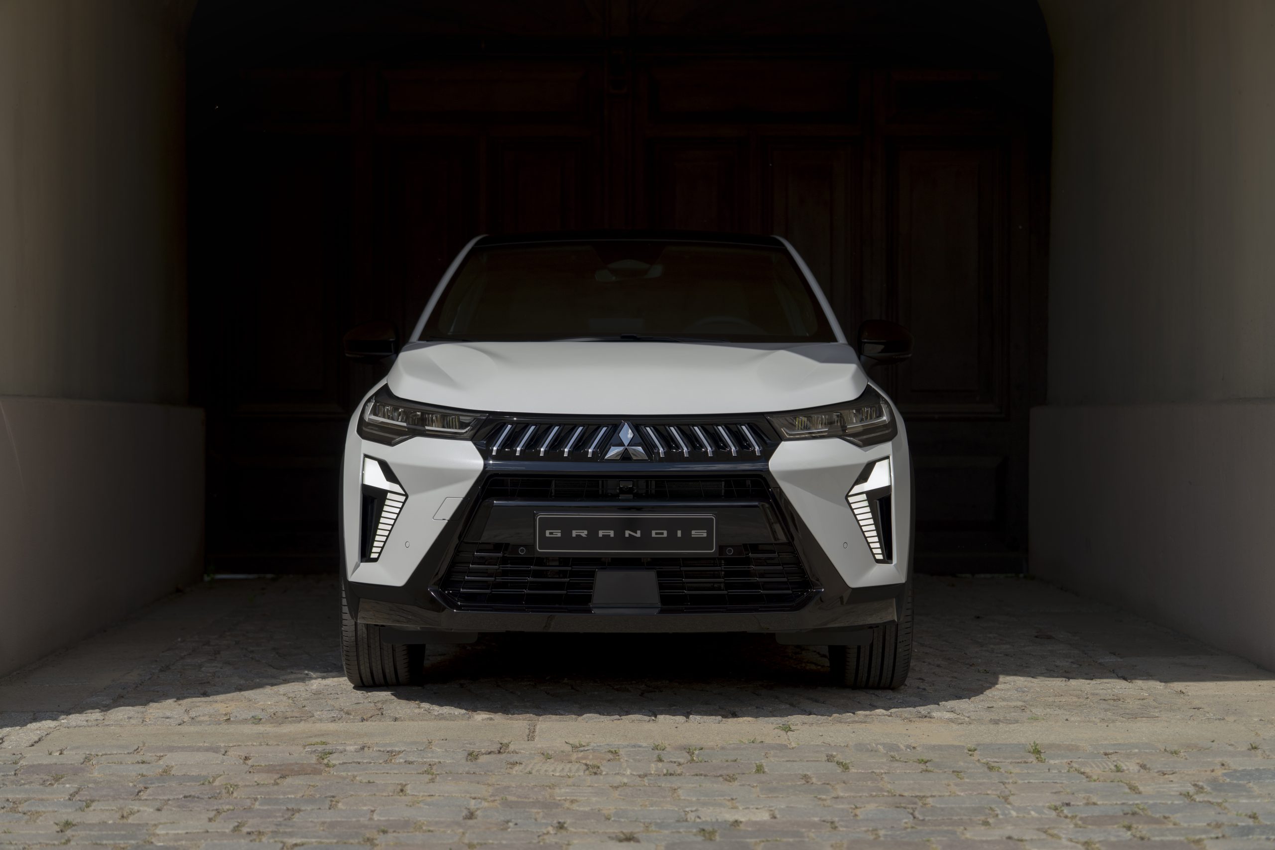 Новий Mitsubishi Grandis 1