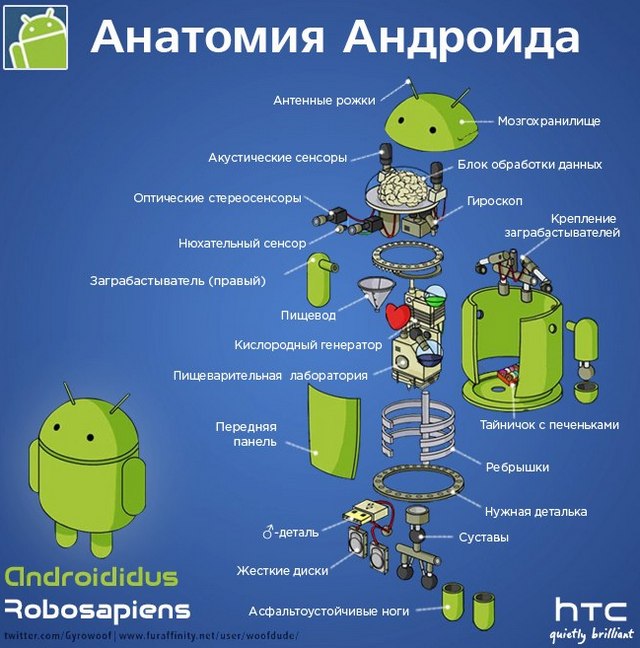Инфографика: из чего состоит Android-2 Инфографика: из чего состоит Android-2