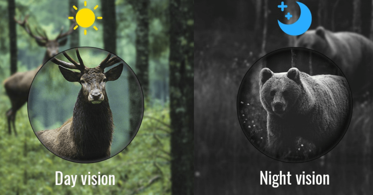 monoculaire vision nocturne