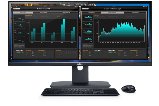 Dell представила несколько мониторов и объявила украинские цены на модели U2913WM и U3014 -2