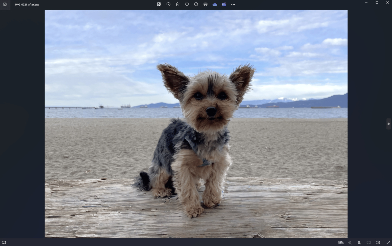 Microsoft додає у застосунок Windows Photos генеративний інструмент стирання об'єктів на основі ШІ-2