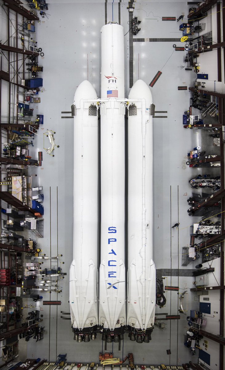 falcon1.jpg