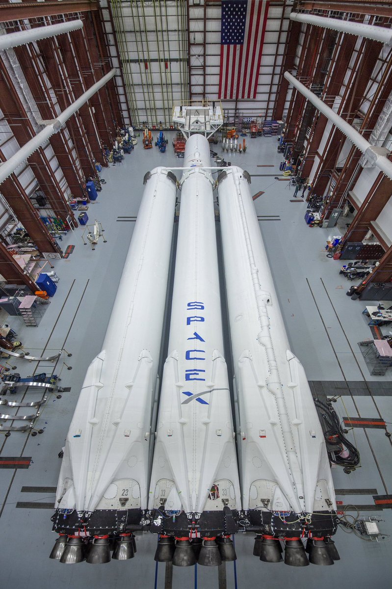 falcon2.jpg