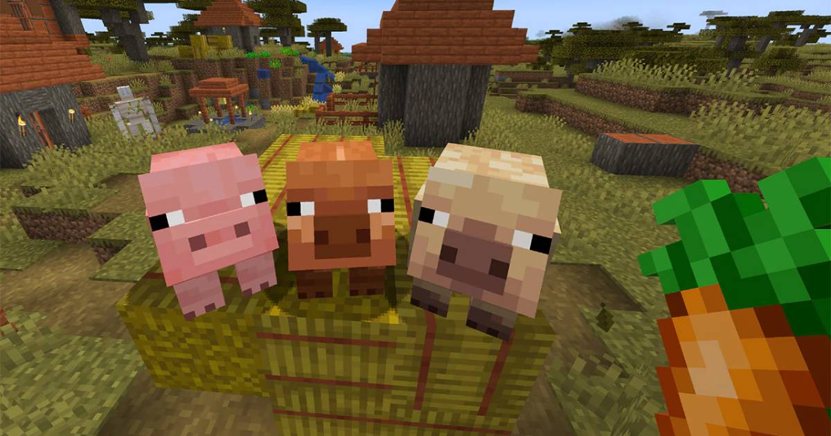 New types of pigs in Minecraft