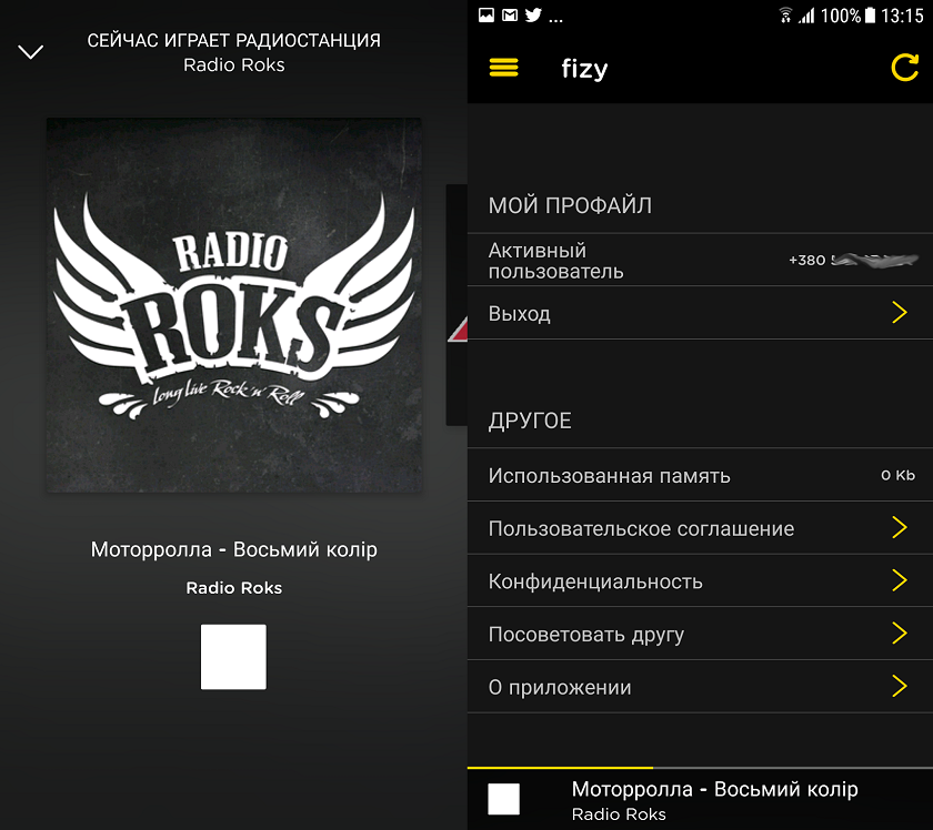 fizy-.png