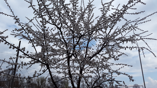 Сравнение качества фотосъёмки флагманских смартфонов: HTC One M8 vs. LG G2 vs. Samsung Galaxy S5-6