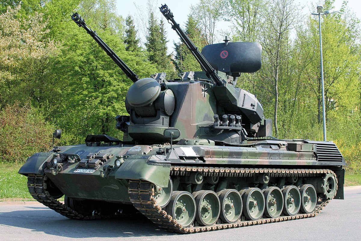 Gepard. Ілюстрація з Wikipedia