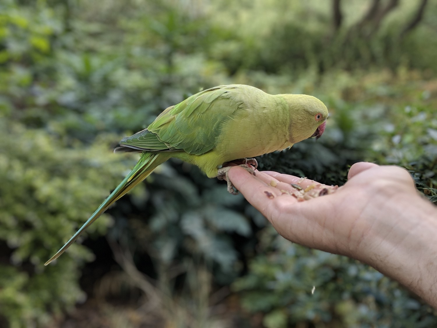 google-pixel-3-xl-huge-leak-camera-samples-bokeh.jpg